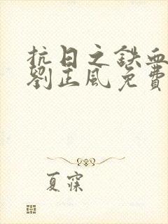 抗日之铁血铮铮刘正风免费阅读