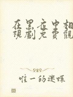 在黑夜中相拥电视剧免费观看完整版封面