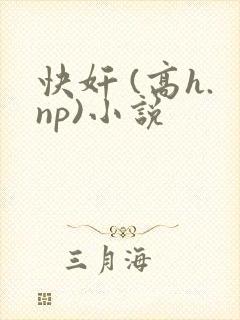快奸 (高h.np)小说