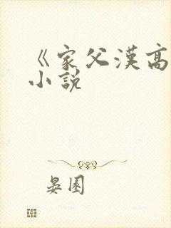《家父汉高祖》小说