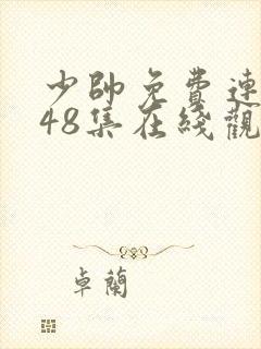 少帅免费连续剧48集在线观看高清