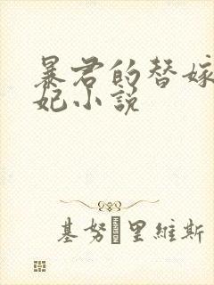 暴君的替嫁小毒妃小说封面