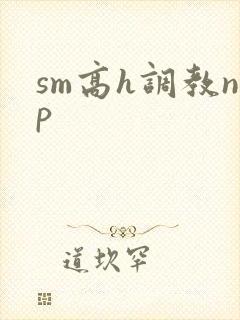 sm高h调教np封面