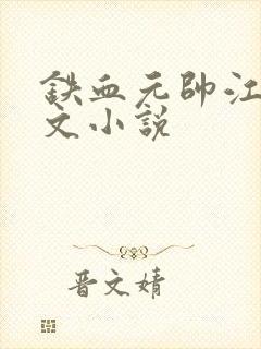 铁血元帅江天全文小说