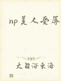 np美人受辱记封面