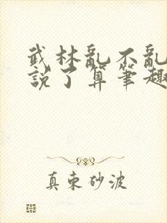 武林乱不乱乔峰说了算笔趣阁