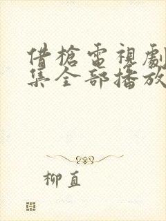 借枪电视剧40集全部播放封面