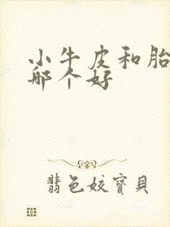 小牛皮和胎牛皮哪个好