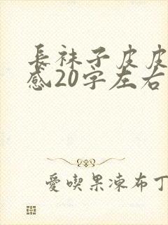 长袜子皮皮读后感20字左右