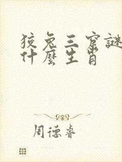 狡兔三窟谜底是什么生肖