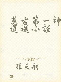 万古第一神婿君逍遥小说封面