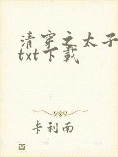 清穿之太子娇妃txt下载封面