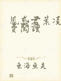 凤惑君叶凌天免费阅读