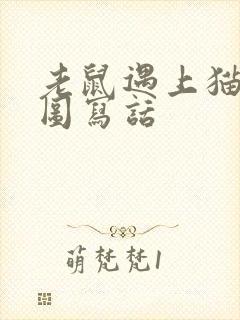 老鼠遇上猫的看图写话