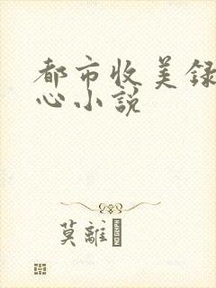 都市收美录宁素心小说
