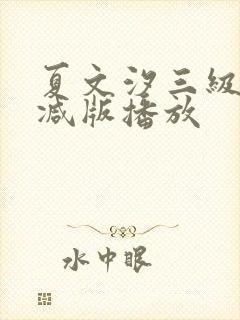 夏文汐三级无删减版播放