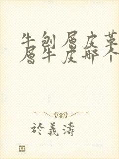 牛刨层皮革和头层牛皮哪个好