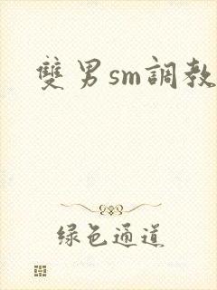 双男sm调教文