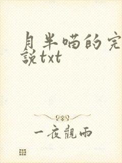 月半喵的完结小说txt