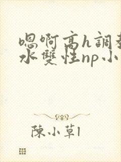 嗯啊高h调教喷水双性np小说