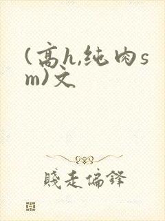 (高h,纯肉sm)文