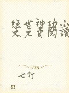 绝世神功小说全文免费阅读