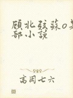 顾北弦苏o是哪部小说