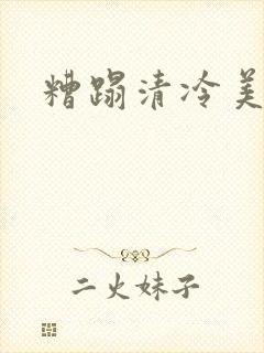 糟蹋清冷美人封面