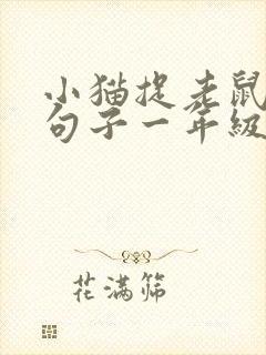 小猫捉老鼠扩写句子一年级