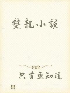 双龙小说