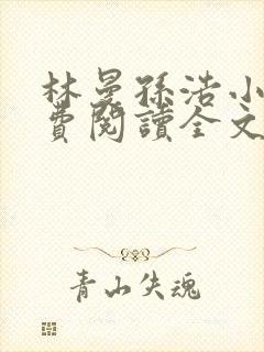 林曼孙浩小说免费阅读全文最新章节封面