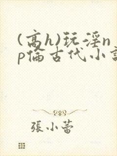 (高h)玩淫np伦古代小说封面