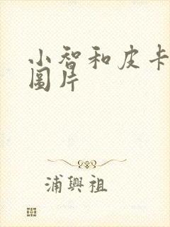 小智和皮卡丘的图片