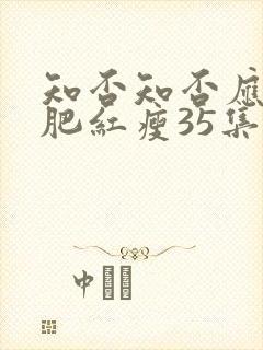 知否知否应是绿肥红瘦35集在线观看