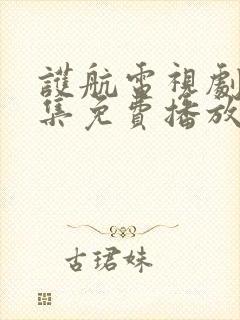 护航电视剧40集免费播放