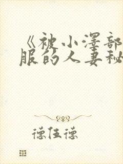 《被小泽部长驯服的人妻秘书