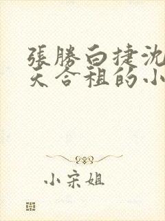 张胜白捷沈莹林天合租的小说