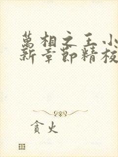 万相之王小说最新章节精校版封面