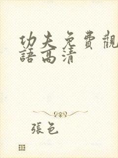 功夫免费观看国语高清