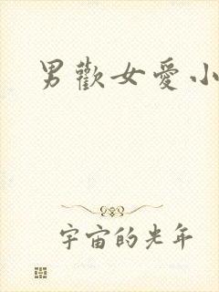 男欢女爱小说