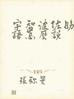 宇智波佐助用日语怎么说