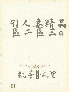 91人妻精品一区二区三a