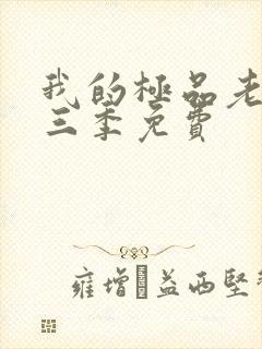 我的极品老婆第三季免费