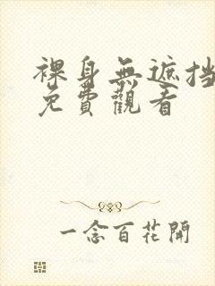 裸身无遮挡久久免费观看封面