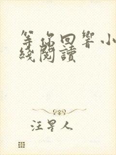 等你回响小说在线阅读