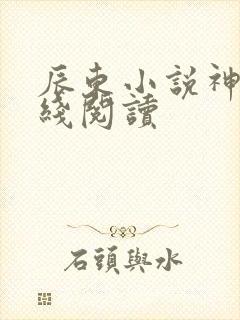 辰东小说神墓在线阅读
