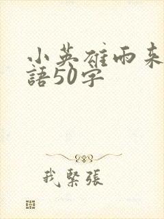 小英雄雨来推荐语50字