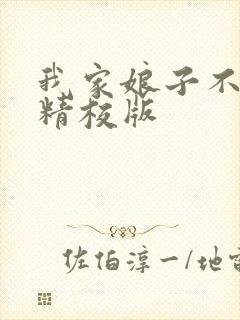 我家娘子不对劲精校版