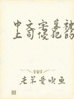 中文字幕被丈夫上司侵犯的人妻