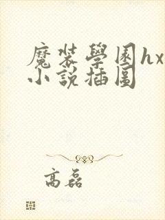 魔装学园hxh小说插图